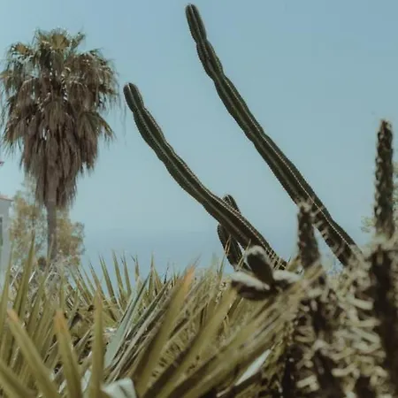 Nonna's Boutique Nocleg ze śniadaniem Dhërmi