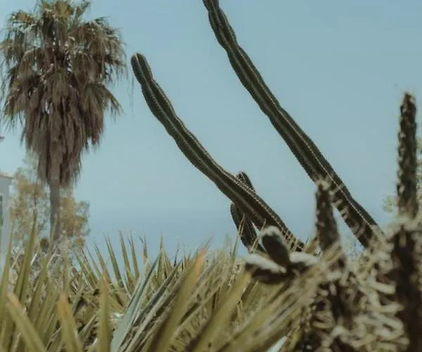 Nonna's Boutique Bed & Breakfast Dhermi